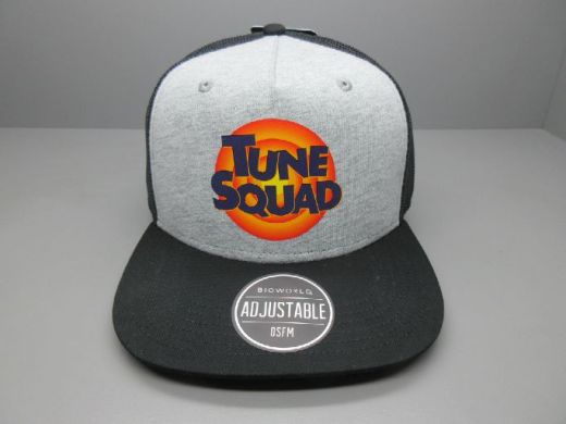 Space Jam Tune Squad Logo Heather Snapback Hat