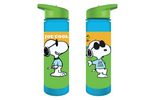 Peanuts Snoopy Joe Cool 24 Oz Water Bottle